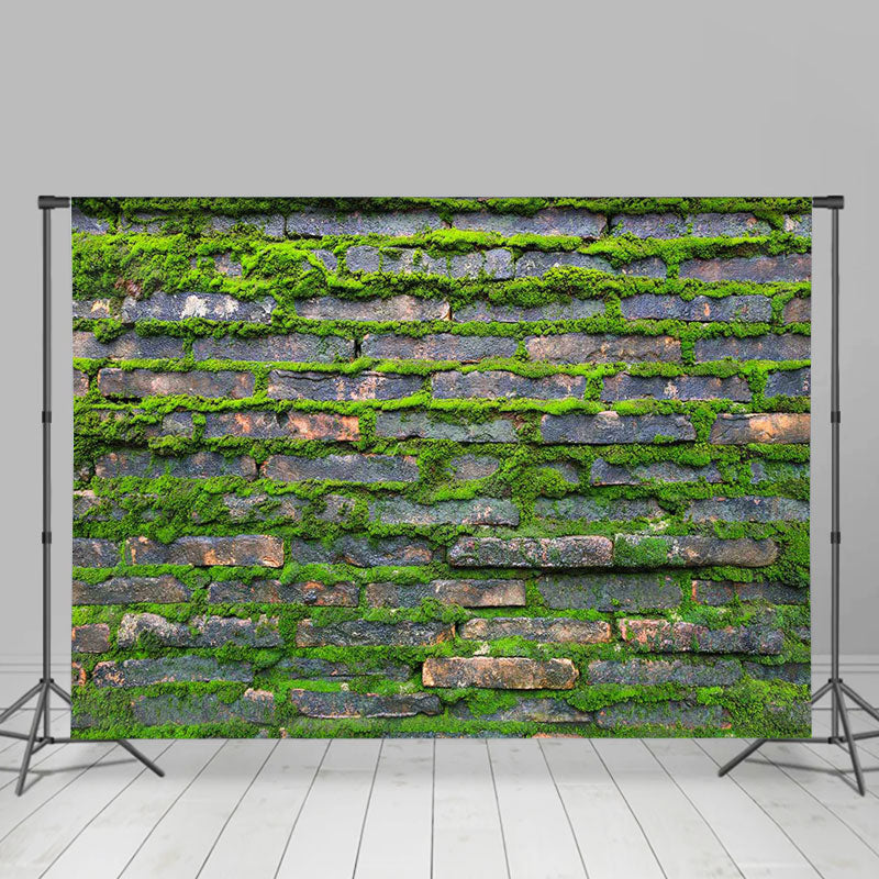 Rural Green Mossy Brick Wall Photoshoot Backdrop - Lofaris