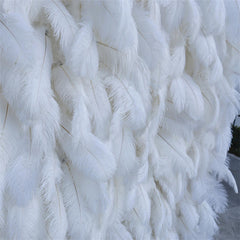 Lofaris 3D White Feather Wall Bridal Shower Party Backdrop