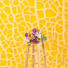 Lofaris Abstract Yellow Cantaloupe Texture Backdrop For Photo