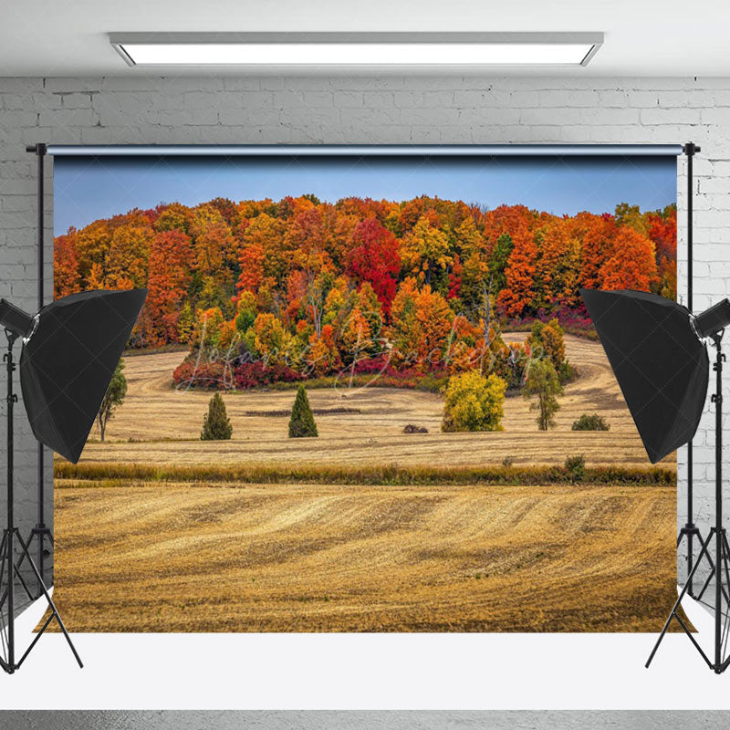 Lofaris Autumn Forest Colorful Natural Landscape Backdrop