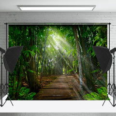 Lofaris Bamboo Forest Wooden Path Sunlight Spring Backdrop