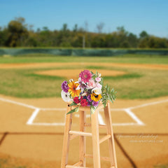 Lofaris Baseball Park Blue Sky Sports Photography Backdrop