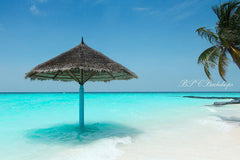 Lofaris Beach Sandy Palm tree Portrait Photography Backdrop