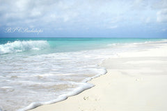 Lofaris Beach Sea Waves Summer Vacation Portrait Backdrop