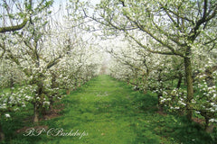 Lofaris Blooming Flowers Apple Tree Spring Backdrop For Portrait