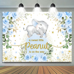 Lofaris Blue Peanut Floral Baby Shower Backdrop for Boy