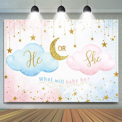 Lofaris Blue Pink He Or She Cloud Gender Reveal Backdrop