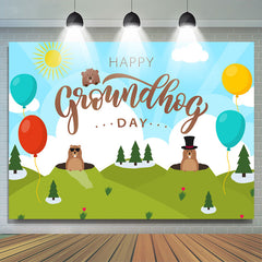 Lofaris Blue Sky Green Hill Balloon Groundhog Day Backdrop