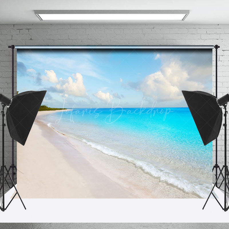 Lofaris Blue Sky Sand Beach Coastal Backdrop For Photo Booth