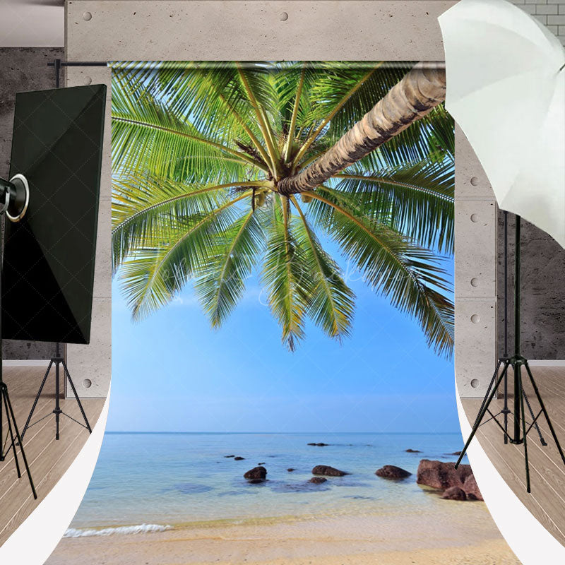 Lofaris Blue Sky Sea Beach Summer Photoshoot Sweep Backdrop