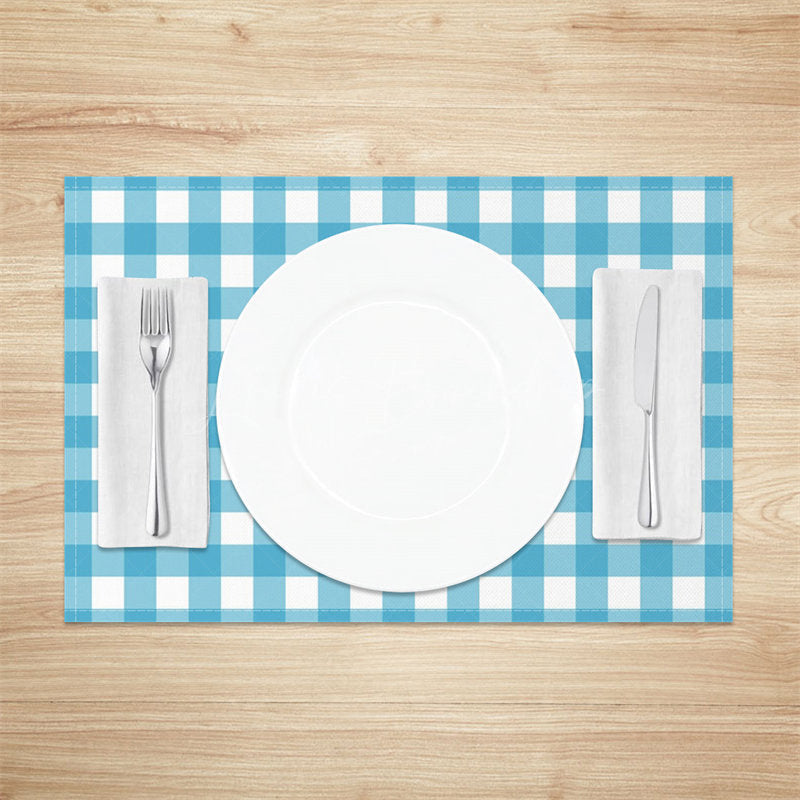 Lofaris Bright Blue White Plaid Modern Set Of 4 Placemats