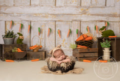 Lofaris Carrot Newborn Easter Spring Vintage Rustic Photography Backdrop