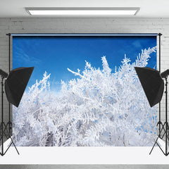 Lofaris Cedar Snowflake Blue Sky Wonderland Winter Backdrop