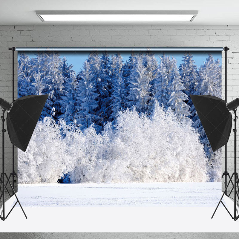 Lofaris Cedar Snowy Forest Wonderland Winter Backdrop