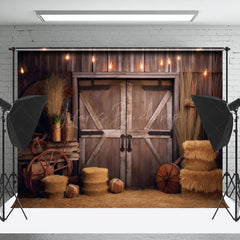 Lofaris Cowboy Retro Wood Barn Door Backdrop For Photography