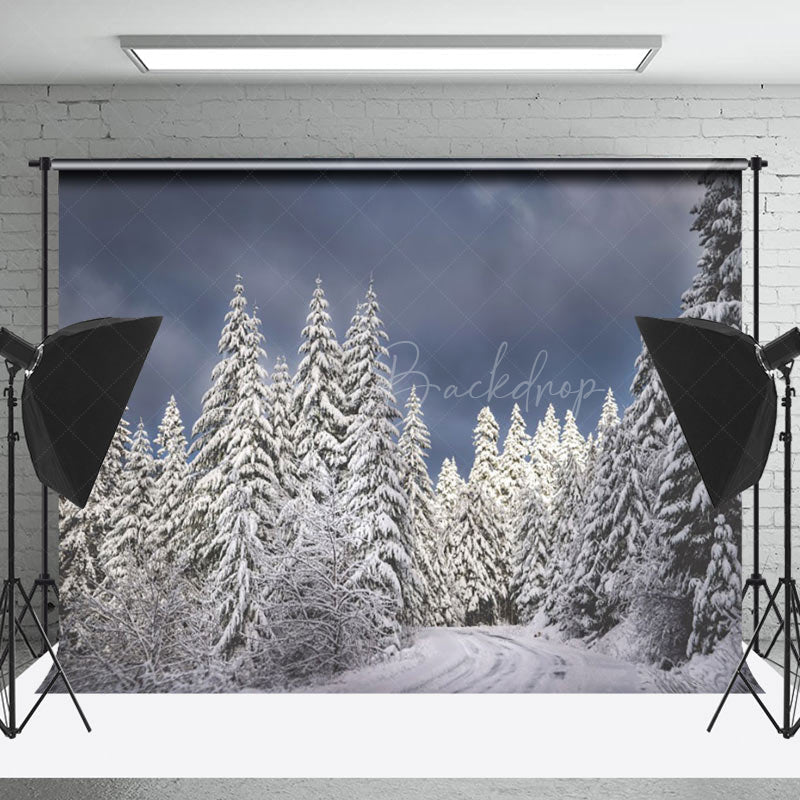 Lofaris Dark Sky Pine Trees Snow Photography Backdrop