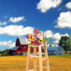 Lofaris Farm Red House Blue Sky Grass Outdoor Photo Backdrop