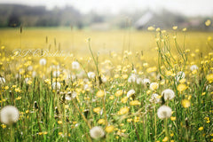 Lofaris Flowers Portrait Spring Photography Backdrop