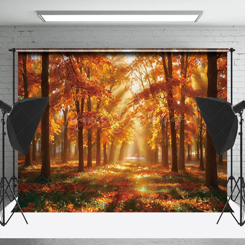 Lofaris Forest Autumn Leaves Sunshine Photo Backdrop