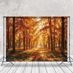 Lofaris Forest Autumn Leaves Sunshine Photo Backdrop