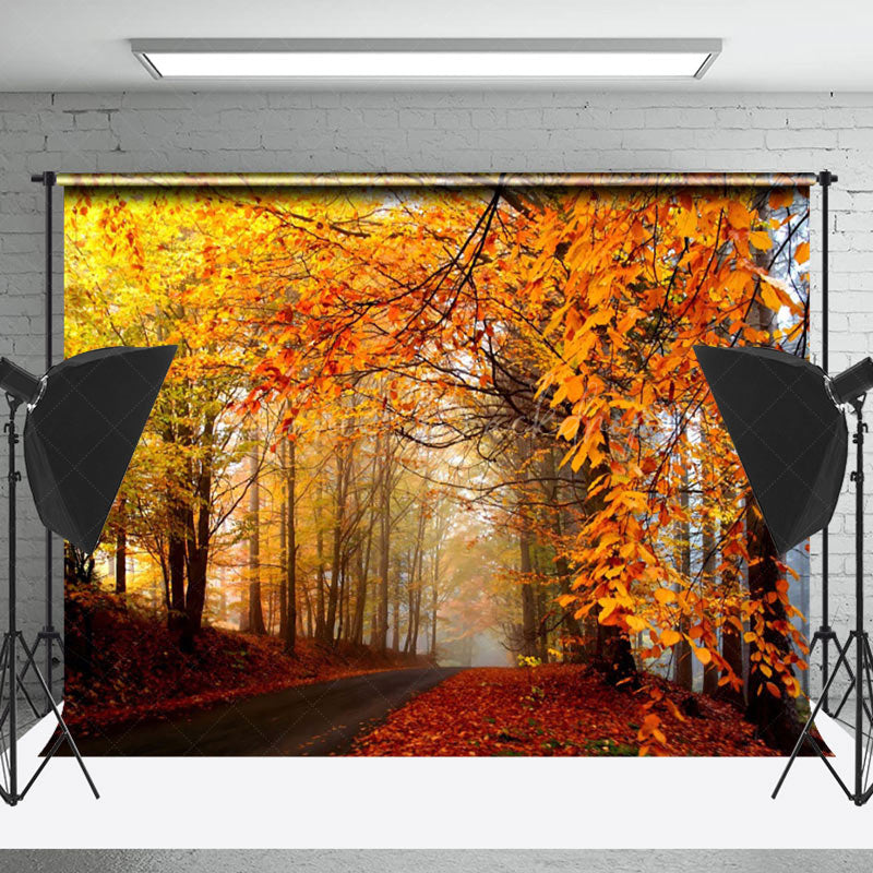 Lofaris Forest Road Covered With Red Fallen Leaves Backdrop