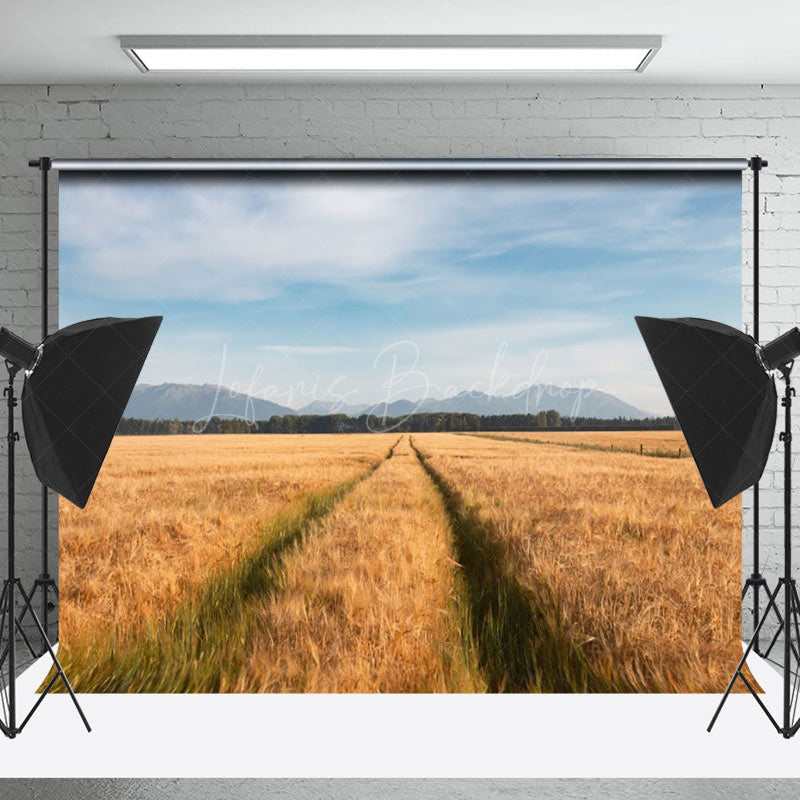 Lofaris Golden Wheat Field Blue Sky Outdoor Beautiful Backdrop