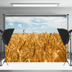 Lofaris Golden Wheat Field Blue Sky Summer Photo Backdrop