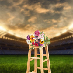 Lofaris Green Lawn Stadium Dusk Sports Backdrop For Photo