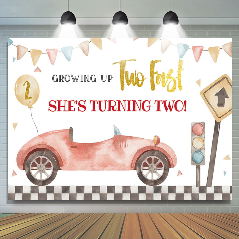 Lofaris Growing Up Two Fastred Car 2nd Birthday Backdrop