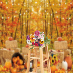 Lofaris Haystack Pumpkin Autumn Woods Photography Backdrop