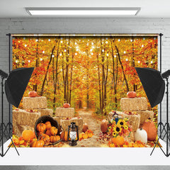 Lofaris Haystack Pumpkin Autumn Woods Photography Backdrop