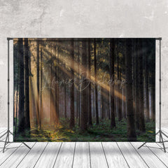 Lofaris Hazy Sunlight Mysterious Forest Photography Backdrop