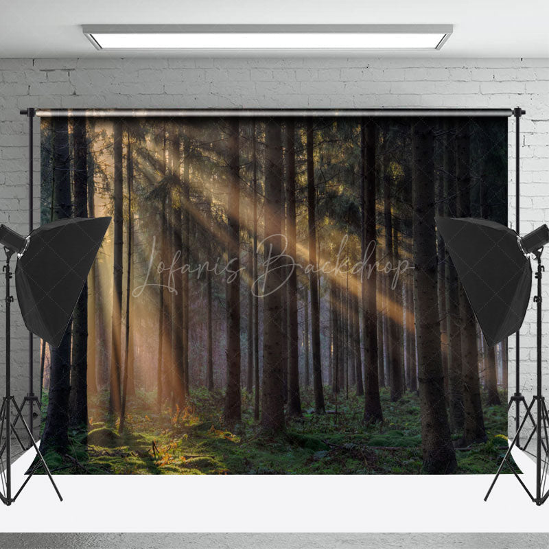 Lofaris Hazy Sunlight Mysterious Forest Photography Backdrop