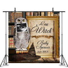 Lofaris Library Owl Ultrasound Magic Custom Baby Shower Backdrop