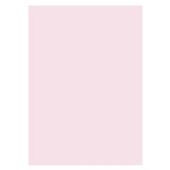 Lofaris Light Pink Solid Color Studio Photography Backdrop