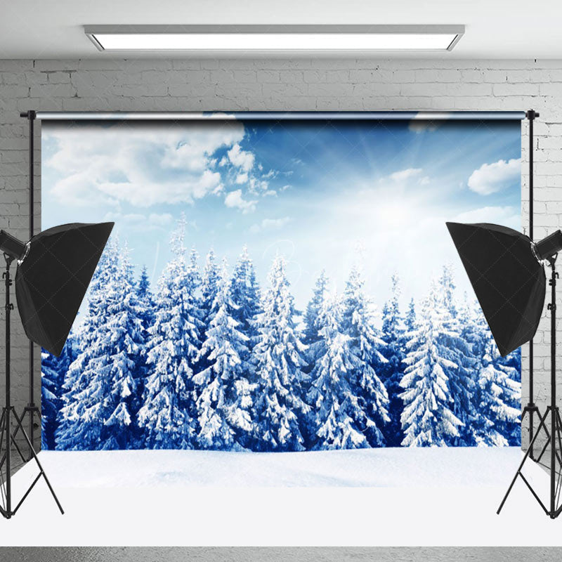 Lofaris Blue Sky Sunshine Winter Forest Photography Backdrop