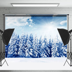 Lofaris Blue Sky Sunshine Winter Forest Photography Backdrop