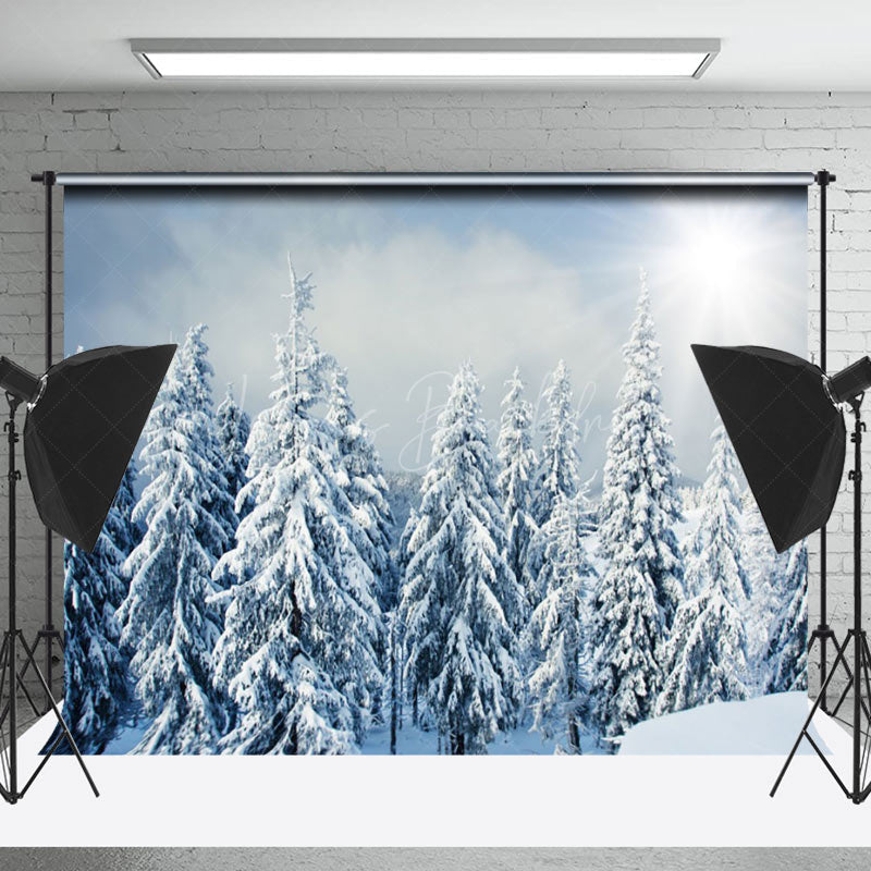 Lofaris Bright Sumshine Snowy Pine Forest Winter Backdrop