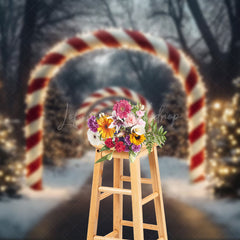 Lofaris Candy Cane Arch Snowy Forest Light Christmas Backdrop