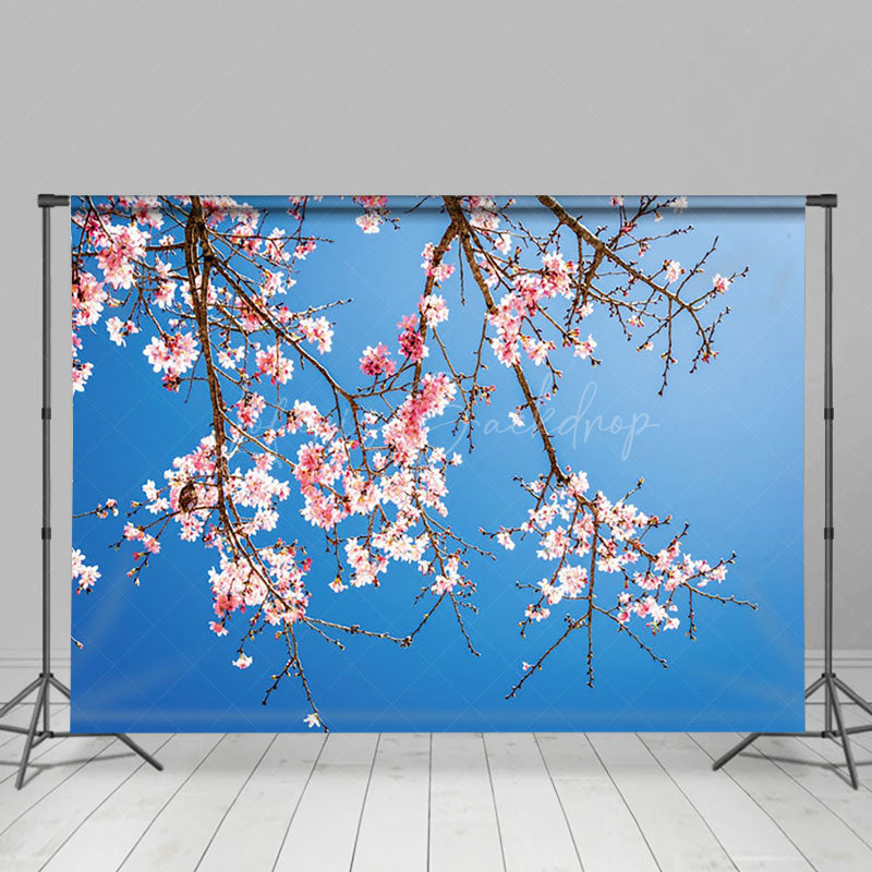 Lofaris Cherry Blossom Tree Sky Intricate Branches Backdrop