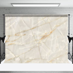 Lofaris Classic Marble Beige Abstract Photo Backdrop