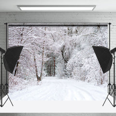 Lofaris Cold Winter Snowy Trees Shrubs Path Photo Backdrop