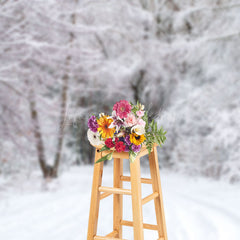 Lofaris Cold Winter Snowy Trees Shrubs Path Photo Backdrop