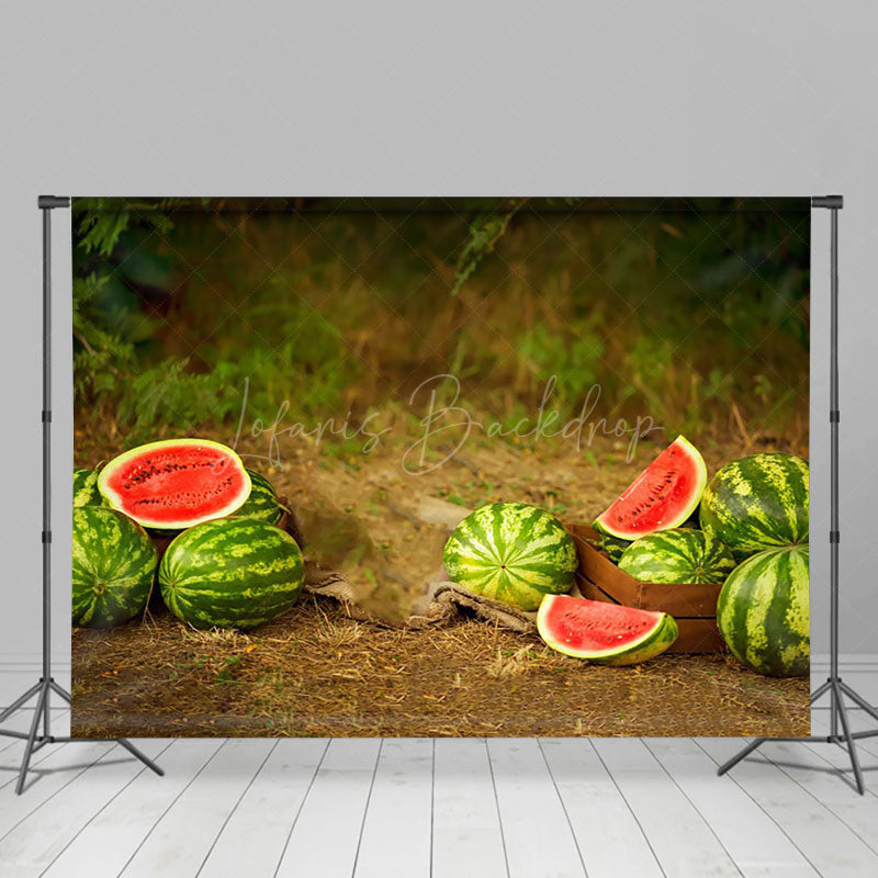 Lofaris Cut Watermelon Wild Field Summer Scenery Backdrop