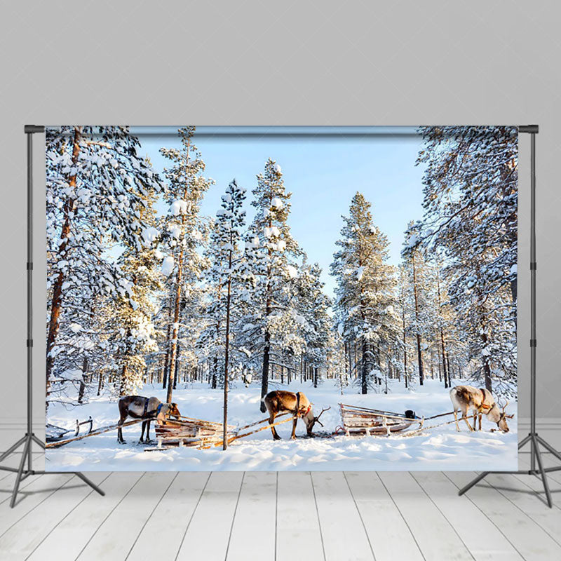 Lofaris Deer Pulling Sled Winter Forest Photography Backdrop