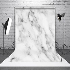 Lofaris Fine Art White Grey Abstract Marble Pattern Backdrop