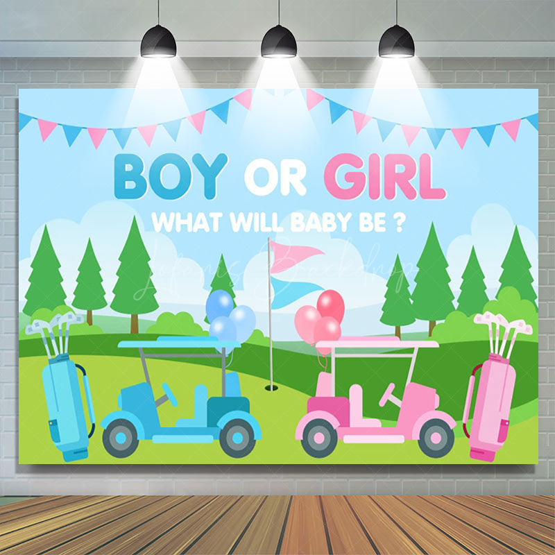 Lofaris Gender Reveal Golf Course Scene Blue Pink Backdrop