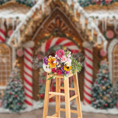 Lofaris Gingerbread House Candy Cane Xmas Photo Backdrop