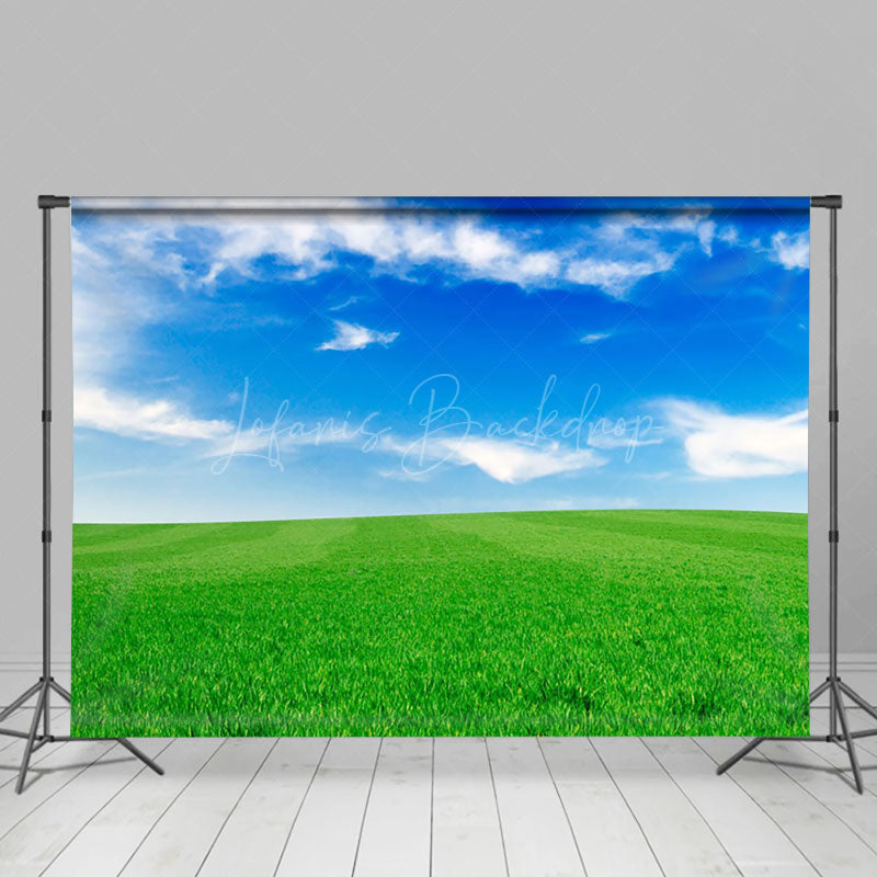 Lofaris Green Grass And Blue Sky Studio Photography Backdrop