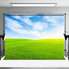 Lofaris Green Grassland And Blue Sky Photography Backdrop